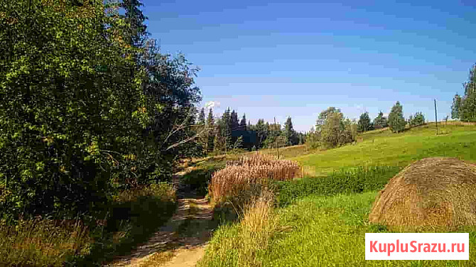 Дом 60 м² на участке 150 сот. на продажу в Печорах Печоры - изображение 5