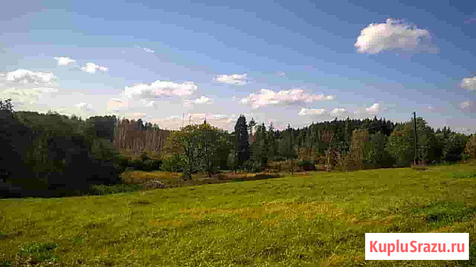 Дом 60 м² на участке 150 сот. на продажу в Печорах Печоры - изображение 2