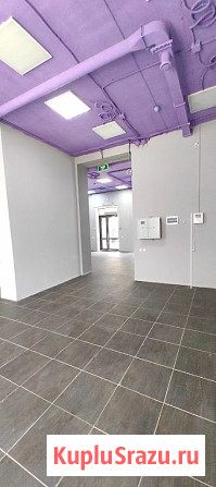 Аренда помещения 91 м² на центральной аллее Красноярск - изображение 2