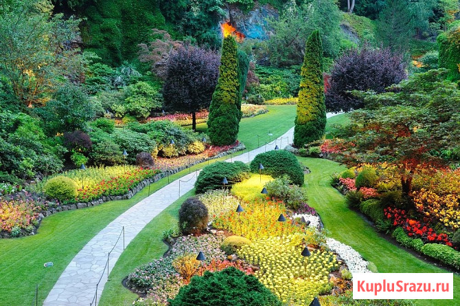 Озеленение, ландшафтный дизайн в Санкт-Петербурге Санкт-Петербург - изображение 3