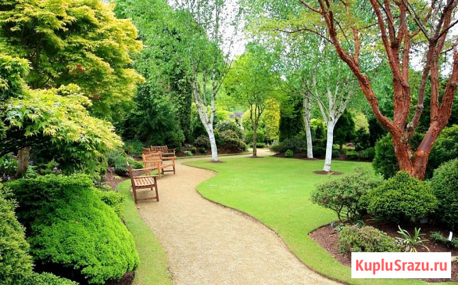 Озеленение, ландшафтный дизайн в Санкт-Петербурге Санкт-Петербург - изображение 1