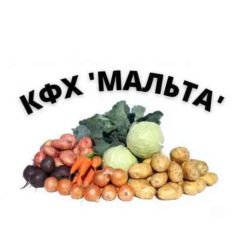 Овощи для борща оптом Находка