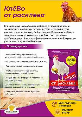 Кормовой премикс для с/х птицы - П2 КлёВО от расклёва Балашиха