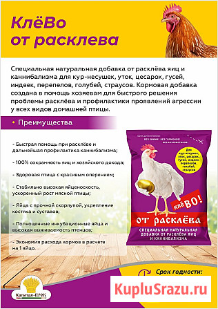 Кормовой премикс для с/х птицы - П2 КлёВО от расклёва Балашиха - изображение 1