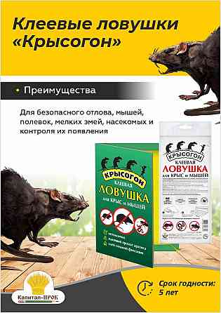 Клеевые ловушки Крысогон от крыс и мышей Балашиха