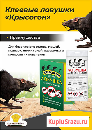Клеевые ловушки Крысогон от крыс и мышей Балашиха - изображение 1