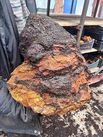 ЧагаГрупп / Пункт Приёма Чаги Вологда