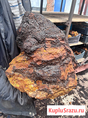 ЧагаГрупп / Пункт Приёма Чаги Вологда - изображение 2