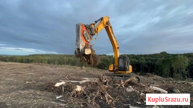 Расчистка территорий от деревьев и пней от 1 Га Рязань - изображение 3