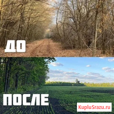 Расчистка территорий от деревьев и пней от 1 Га Рязань - изображение 4