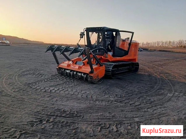 Расчистка территорий от деревьев и пней от 1 Га Рязань - изображение 2