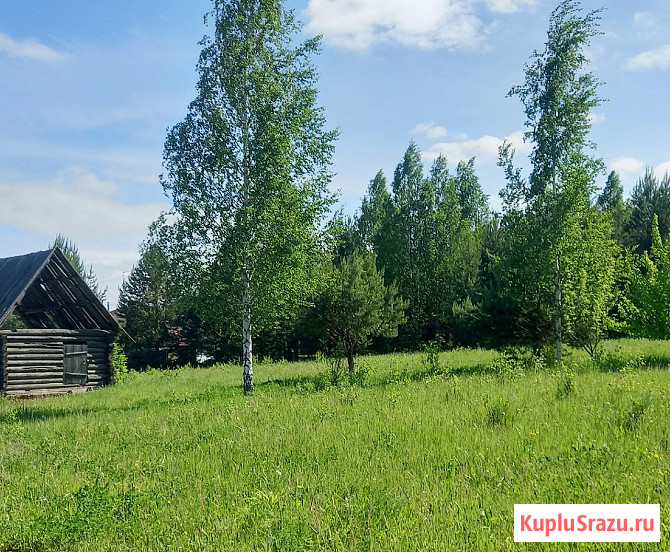 Участок ИЖС 26 сот. на продажу в Ижевске Ижевск - изображение 2