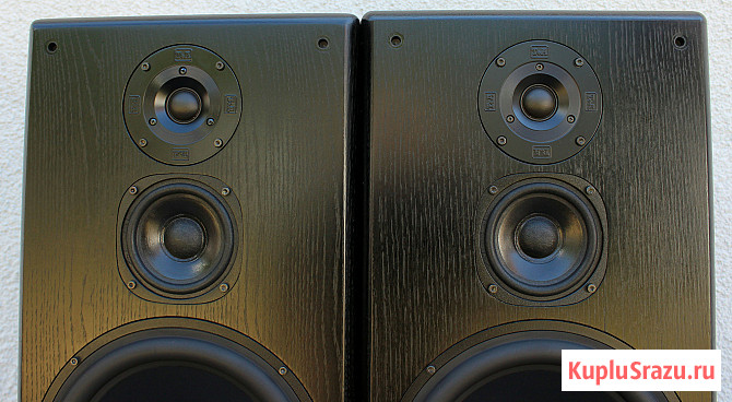 T+A Stratos P 30. Полочная акустика. HI-END Москва - изображение 2