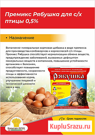Премикс Рябушка для с/х птицы 0, 5% 150г Москва - изображение 1