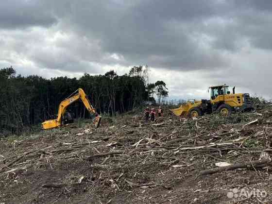 Расчистка территорий от деревьев и пней от 1 Га Владимир