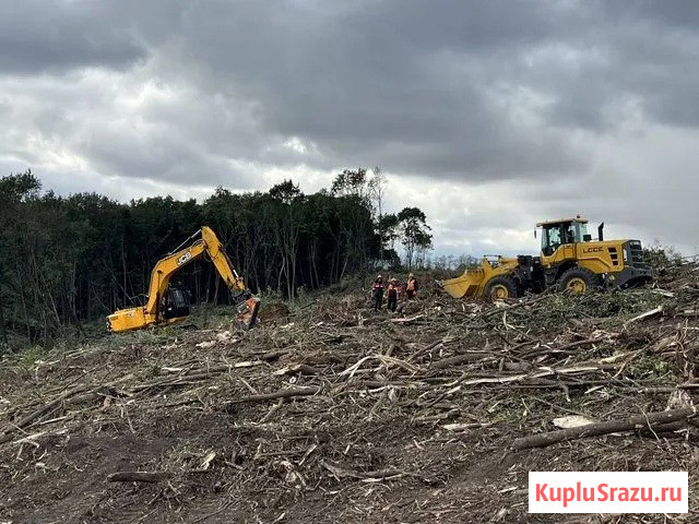 Расчистка территорий от деревьев и пней от 1 Га Владимир - изображение 4