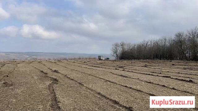 Расчистка территорий от деревьев и пней от 1 Га Владимир - изображение 3