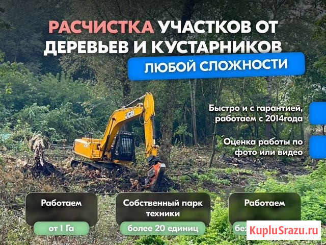 Расчистка территорий от деревьев и пней от 1 Га Владимир - изображение 1