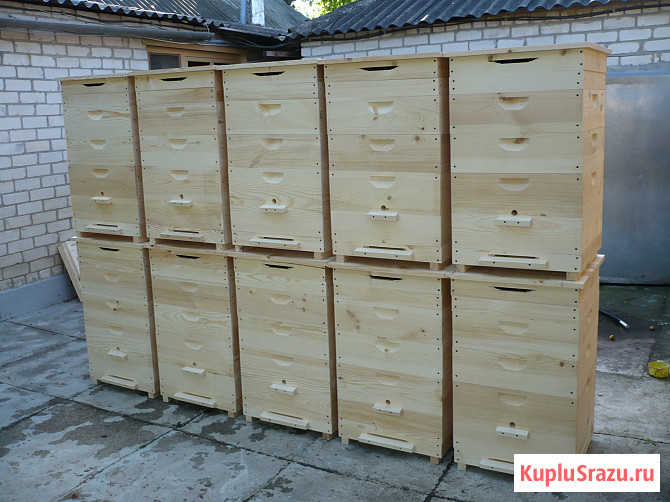 Улья новые деревянные для пчёл Изобильный - изображение 2
