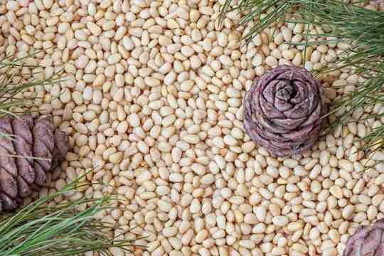 Кедровый орех ядро Москва