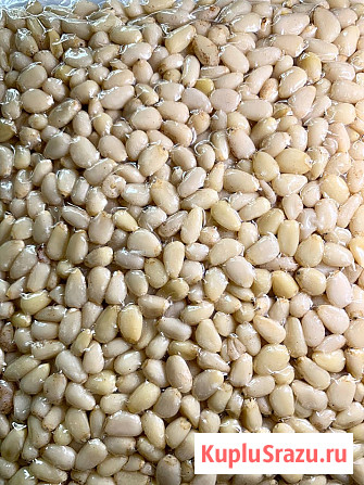 Кедровый орех ядро Москва - изображение 3