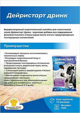 Коктейль Дейристарт Дринк для новотельных коров (700г) Москва