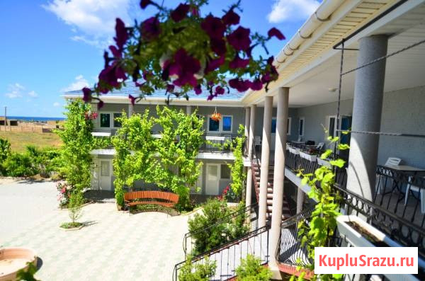 Оленевка снять жилье у моря Черноморское - изображение 1