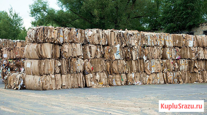 Предприятие переработчик купит макулатуру в больших объёмах Москва - изображение 1