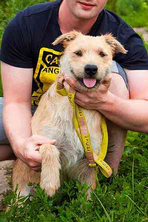 Симпатичный бородатик Вульф всё ещё ждёт своего человека Москва