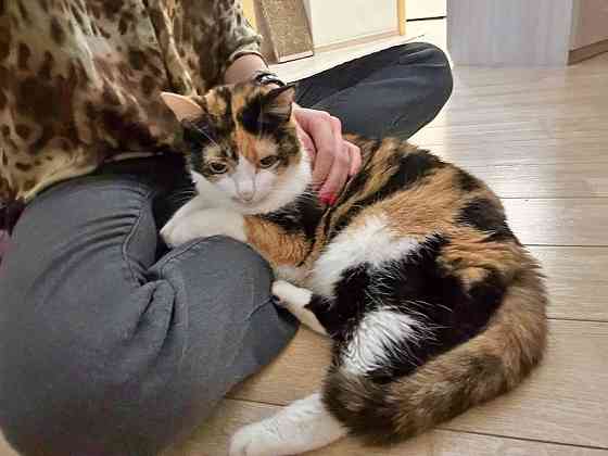 Ямайка ищет дом. Спокойный, надёжный и любящий Москва