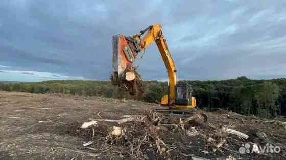 Расчистка территорий от деревьев и пней от 1 Га Ярославль