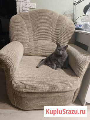 Кресло раскладное Москва - изображение 1