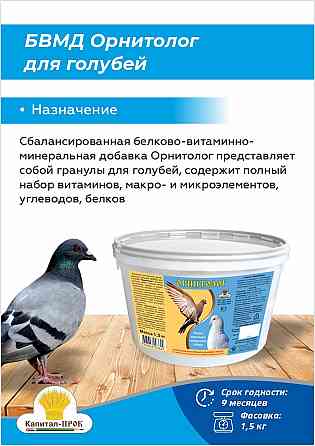 БВМД Орнитолог для голубей – Ваш путь к здоровью и продуктивности Москва