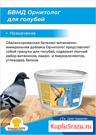 БВМД Орнитолог для голубей – Ваш путь к здоровью и продуктивности Москва - изображение 1
