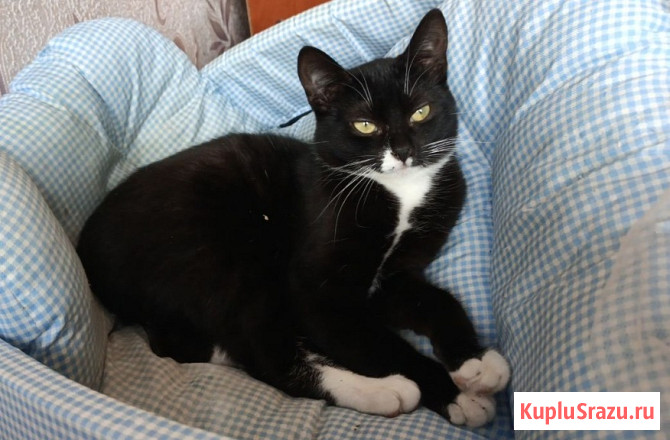 Катенька Санкт-Петербург - изображение 1