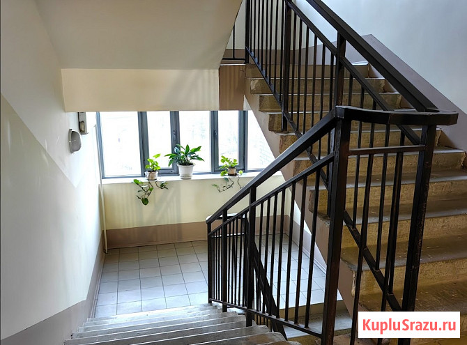 3-комнатная квартира, 85.4 м², 5/9 эт. на продажу в Красноярске Красноярск - изображение 5