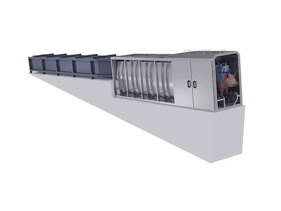 Электрооглушающий аппарат для мозга и сердца (рейстрейнер) Ивантеевка