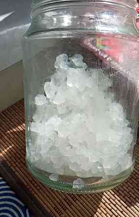 Морской рисовый гриб Уфа