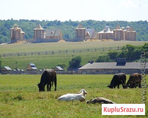 Участок ИЖС 722 сот. на продажу в Воронеже Воронеж - изображение 5