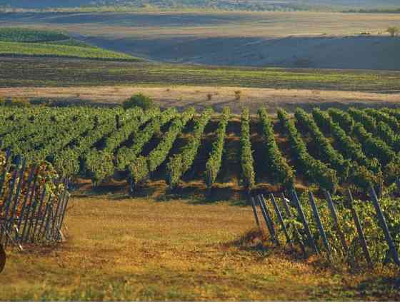 Участок СНТ, ДНП 120 сот. на продажу в Бахчисарае Бахчисарай