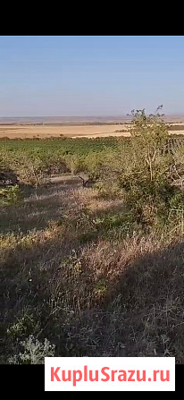 Участок СНТ, ДНП 120 сот. на продажу в Бахчисарае Бахчисарай - изображение 4