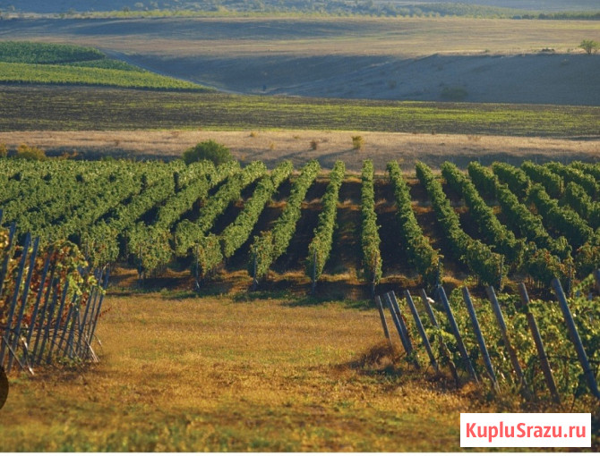 Участок СНТ, ДНП 120 сот. на продажу в Бахчисарае Бахчисарай - изображение 1