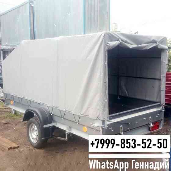 Прицеп Трейлер 829450 для снегохода Красногорск