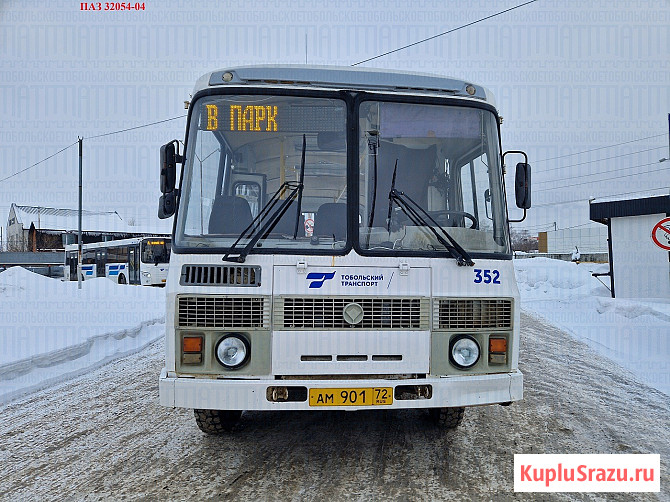ПАЗ 3205 Тобольск - изображение 1