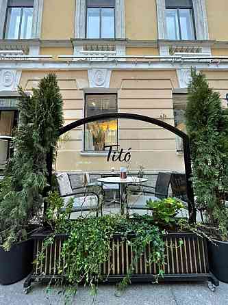 Озеленение офисов и помещений. Фитодизайн Москва