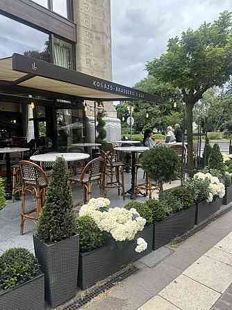 Озеленение офисов и помещений. Фитодизайн Москва