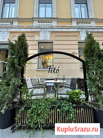 Озеленение офисов и помещений. Фитодизайн Москва - изображение 3