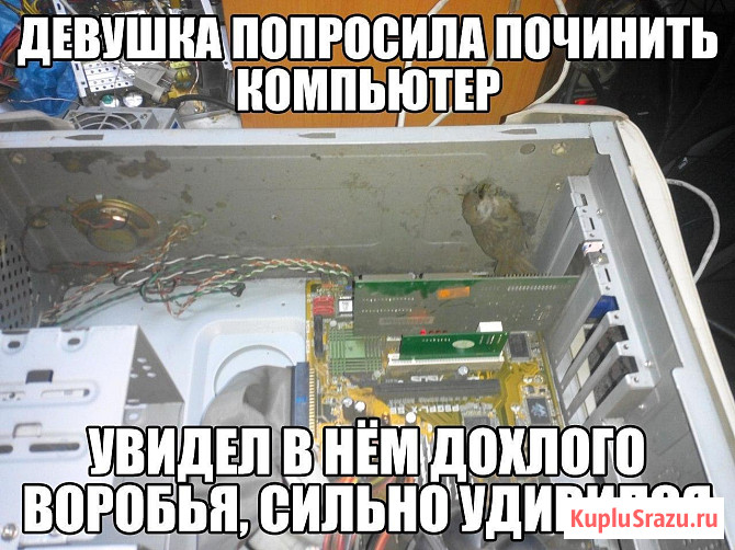 Компьютерная помощь.Настройка, диагностика, ремонт, ос Волгоград - изображение 3