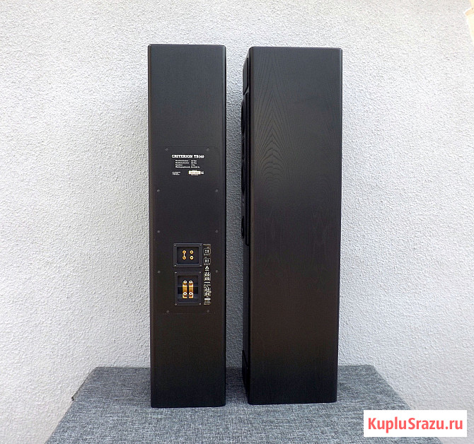 T+A Criterion TB 140. Мощная напольная акустика. ТОП Москва - изображение 4