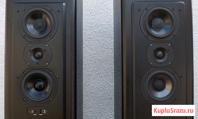 T+A Criterion TB 140. Мощная напольная акустика. ТОП Москва - изображение 3